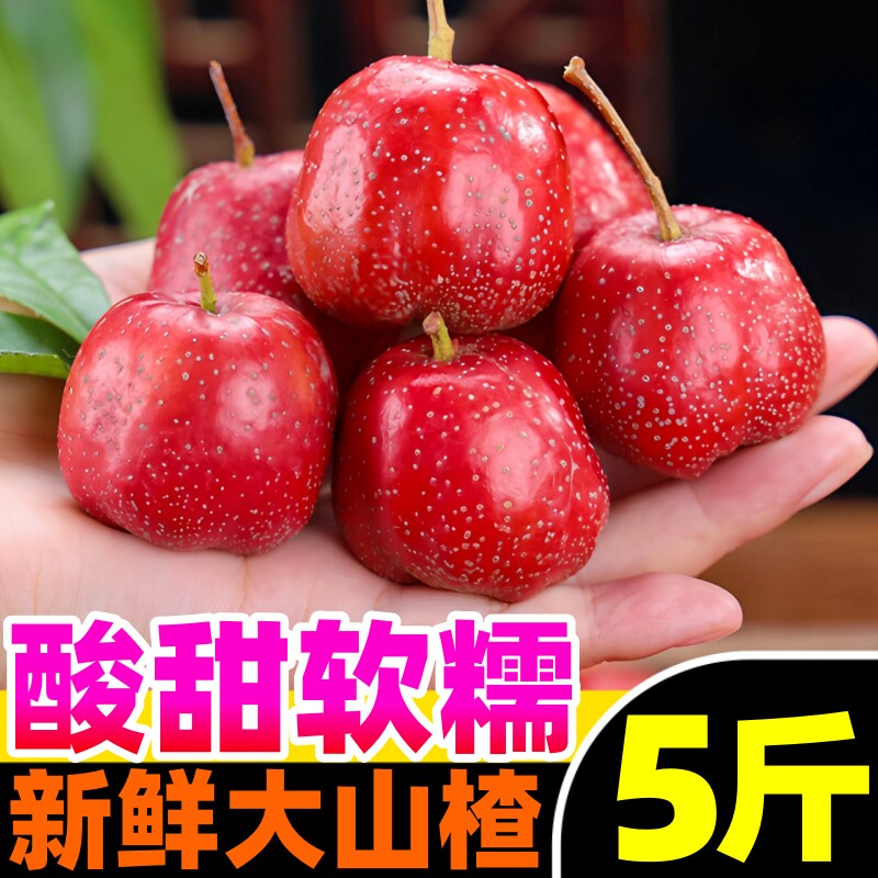 新鲜山楂鲜果5斤大果现摘水果生鲜山里红大山楂冰糖葫芦商用山楂