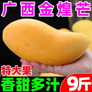 广西金煌芒新鲜芒果10斤当季热带水果大青芒超大特大水仙芒果包邮