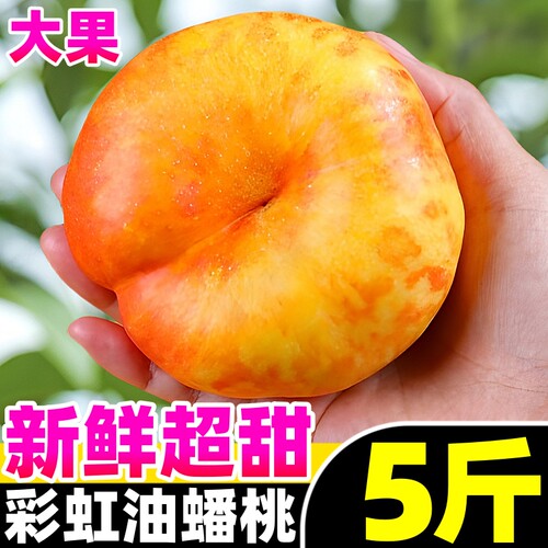 【油蟠桃热卖榜】官方推荐