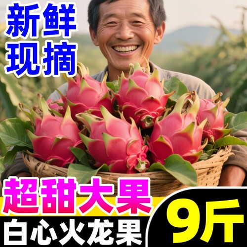 【超甜火龙果热卖榜】官方推荐