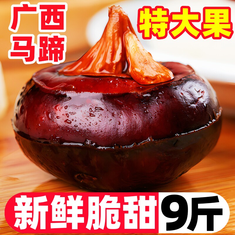 广西大马蹄荸荠新鲜即食当季水果蔬菜珍珠马蹄果现挖脆甜整箱包邮
