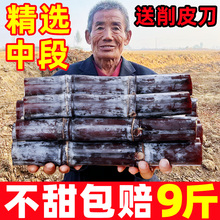 广西黑皮甘蔗新鲜脆甜水果10斤应当季特产现砍整根甜整箱种苗包邮