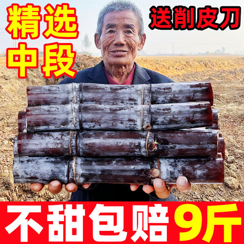 【新鲜甘蔗热卖榜】官方推荐