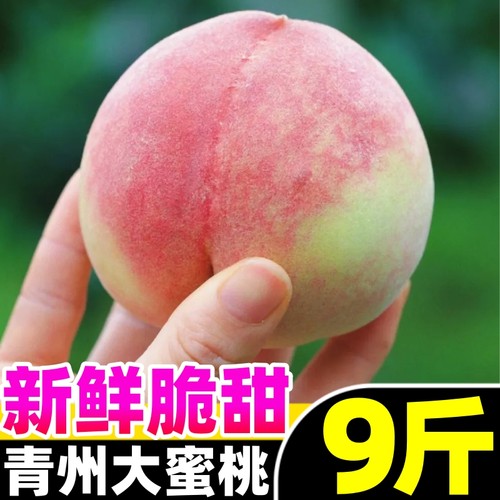 【脆甜青州蜜桃热卖榜】官方推荐