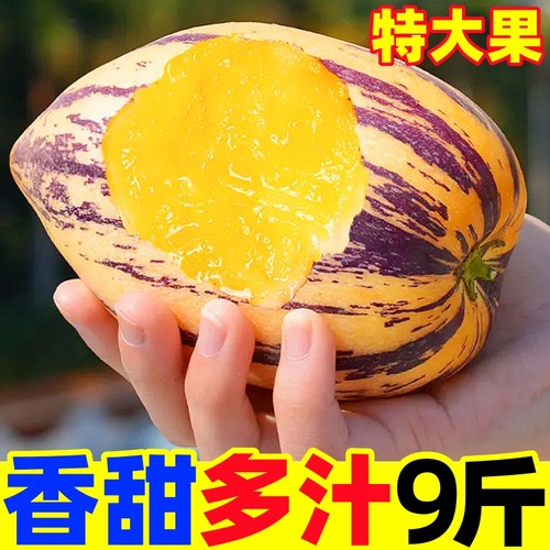 【新鲜人参果热卖榜】官方推荐