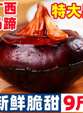 广西大马蹄荸荠新鲜即食当季水果蔬菜珍珠马蹄果现挖脆甜整箱包邮