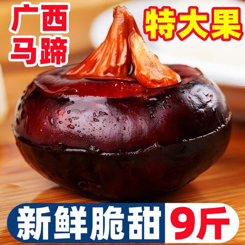 【广西特大马蹄热卖榜】官方推荐