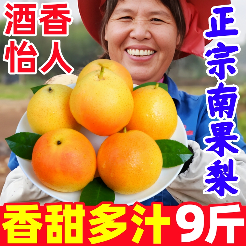 【新鲜南果梨热卖榜】官方推荐