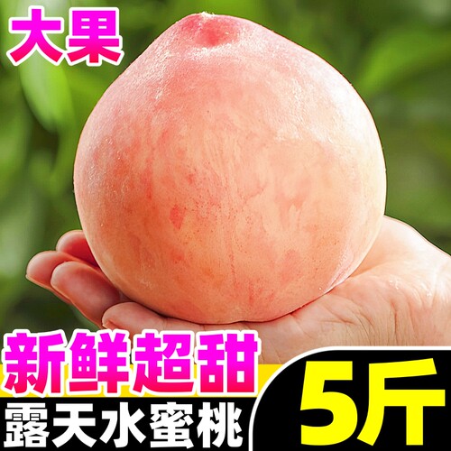【超甜水蜜桃热卖榜】官方推荐