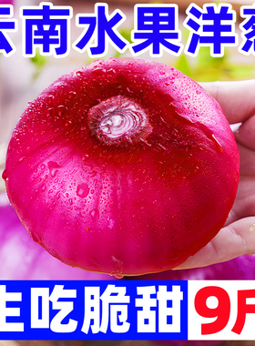 云南紫皮水果大洋葱9斤新鲜小洋葱甜味生吃蔬菜不辣红皮大圆葱头