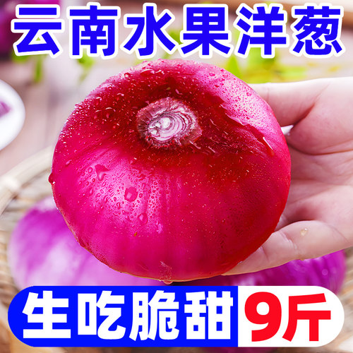 【水果洋葱热卖榜】官方推荐