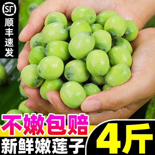 【超嫩莲子热卖榜】官方推荐