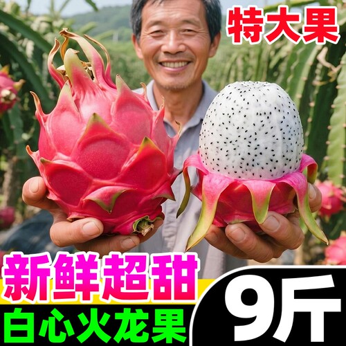 【白心火龙果热卖榜】官方推荐