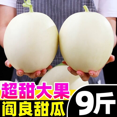 【超甜阎良甜瓜热卖榜】官方推荐