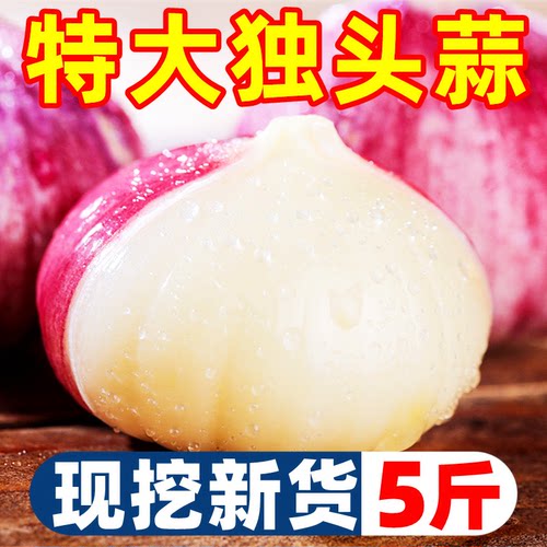 【独头蒜热卖榜】官方推荐