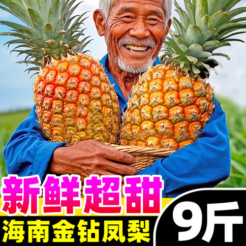 【新鲜凤梨热卖榜】官方推荐