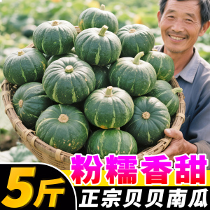 正宗贝贝南瓜5斤板栗味新鲜日本老瓜正品惠和一号小南瓜粉糯香甜9