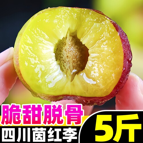 【脆甜李子热卖榜】官方推荐