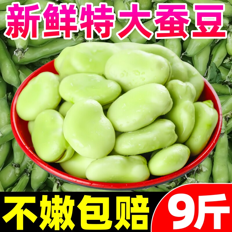 云南蚕豆新鲜9斤现摘蔬菜带壳胡豆青豆荚罗汉豆兰花豆豌豆荷兰豆5