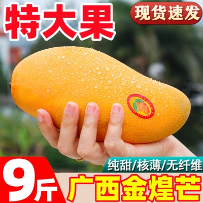 Хайнань Jinhuangmang свежее манго 9 фунтов сезонные тропические фрукты большой зеленый манго очень большой очень большой нарцисс манго бесплатная доставка