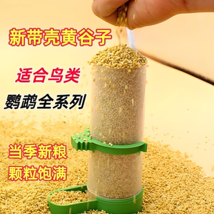 精选鹦鹉鸟粮黄谷子加纳利子小米油葵红谷子虎皮牡丹玄风宠物鸟食
