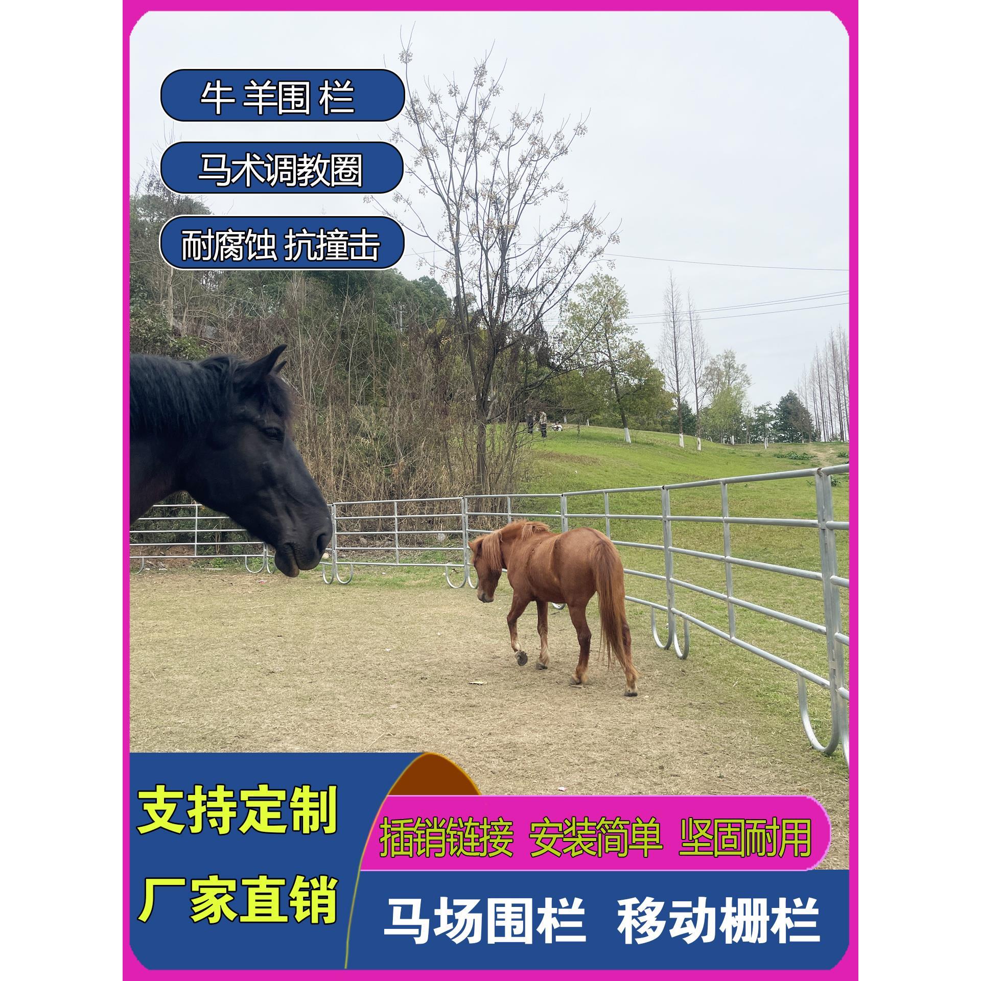 马场围栏马术场地可移动式牧场护栏圈牛羊畜牧栅栏马匹调训隔离栏