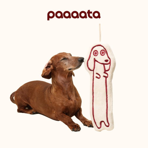 paaaata原创腊肠狗周边擦手巾