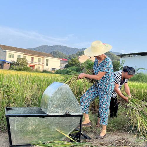 打谷机脱粒机人力脚踩式打谷机全自动老式打谷机稻麦脱粒水稻加厚