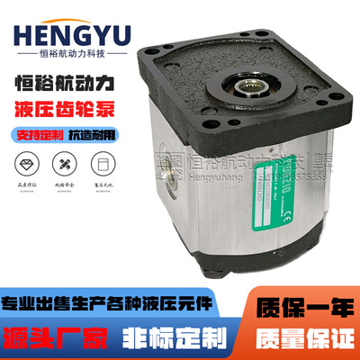 罗茨液压泵RONZIO齿轮泵05ZAG 01ZAG 02ZAG 02ZCG 03ZAG35油泵