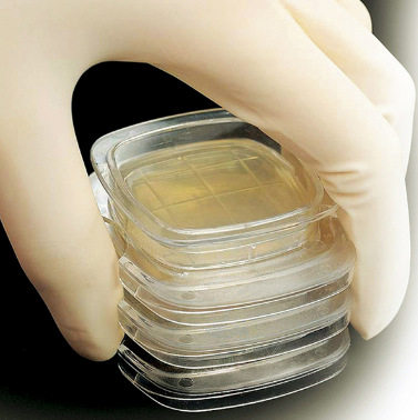 接触性琼脂培养基,模玩/动漫/周边/娃圈三坑/桌游,文化/体育周边,淘宝优惠券,粉丝福利购,淘宝优惠卷