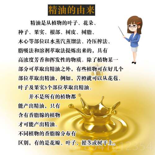 高档葡萄籽油基础油通院经络精油体部全身按面摩刮痧推拿开背美容