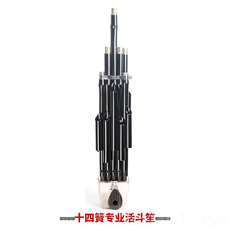 高档艺新17簧14簧扩音乐器大全圆方笙笙修笙工笙具竽乐器笙包初学