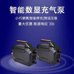 厂家直销标准款 浆板充 自动皮划艇车载充气泵户外便携式 电动打气