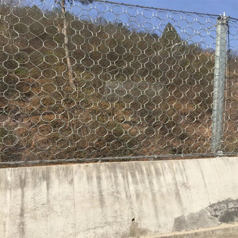 重庆被动防护网 防落石防护网 重庆SNS被动防护网  护坡防护网,电子元器件市场,电线扎带/束线带,淘宝优惠券,粉丝福利购,淘宝优惠卷