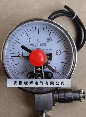 WTYX2-1031两对常开上限电接点及PT100热电阻远传温度计