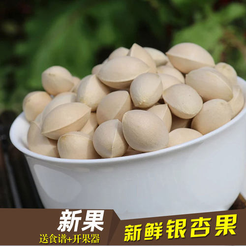 25年新鲜白果 银杏果 无漂白邳州农家特产包邮中秋礼品