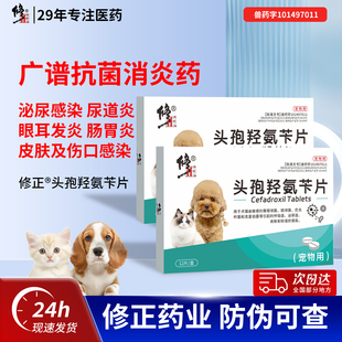 【修正】宠物消炎药狗狗猫咪用皮肤炎尿路感染尿道炎头孢羟氨苄片