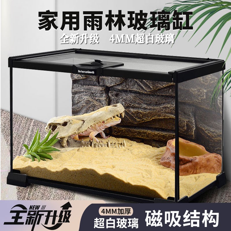 生态爬宠饲养箱雨林造景玻璃缸睫角守宫蜥M蜴角蛙蜘蛛宠物蛇饲养