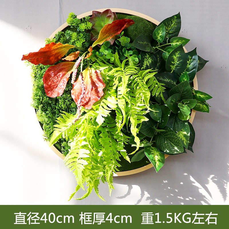墙面装饰植物墙上圆形仿真多肉壁挂绿植墙体阳台墙壁立体遮丑装饰
