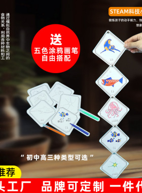 科学实验器材diy食物链生物链幼儿园  小手工 科技小制作幼儿认识