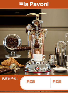 LaPavoni意大利复古进口半自动咖啡机家用意式手动拉杆萃取双表显