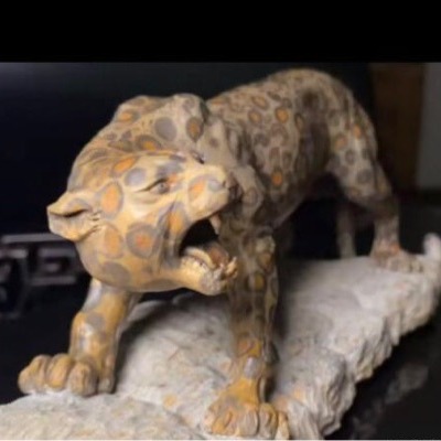 金钱豹 财源滚滚而来 金钱豹发 时来运转石来运转