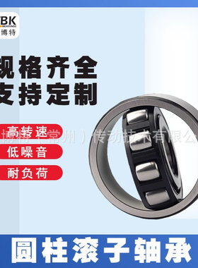 德国KBTBK进口圆柱滚子轴承N405 N406 N407 N408EM 铜保持架