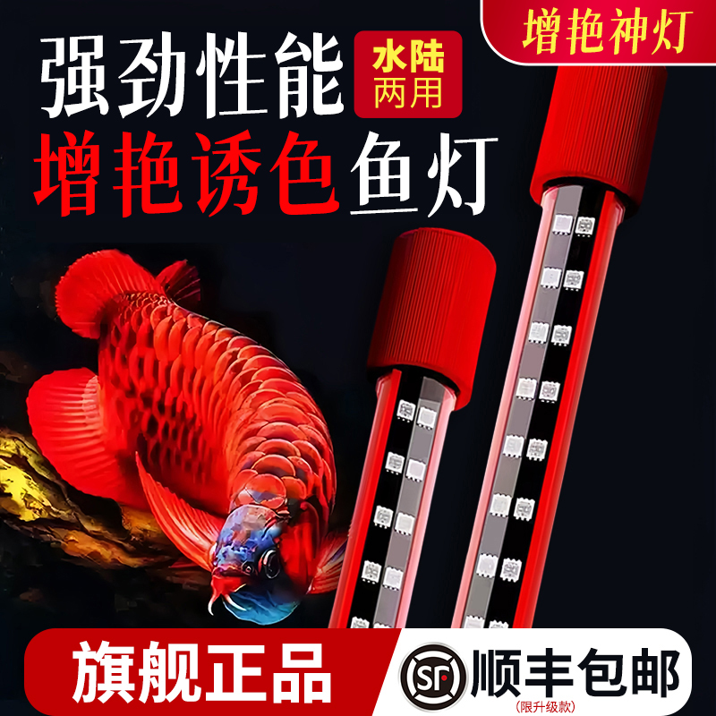 红龙专用发色灯三基色防水LED增色灯鱼缸龙鱼增艳灯专业诱色神灯