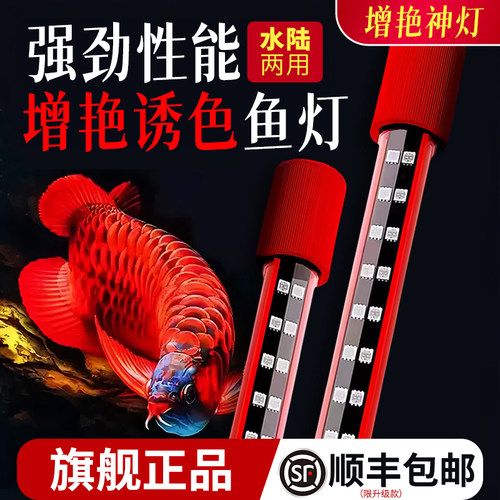 红龙专用发色灯三基色防水LED