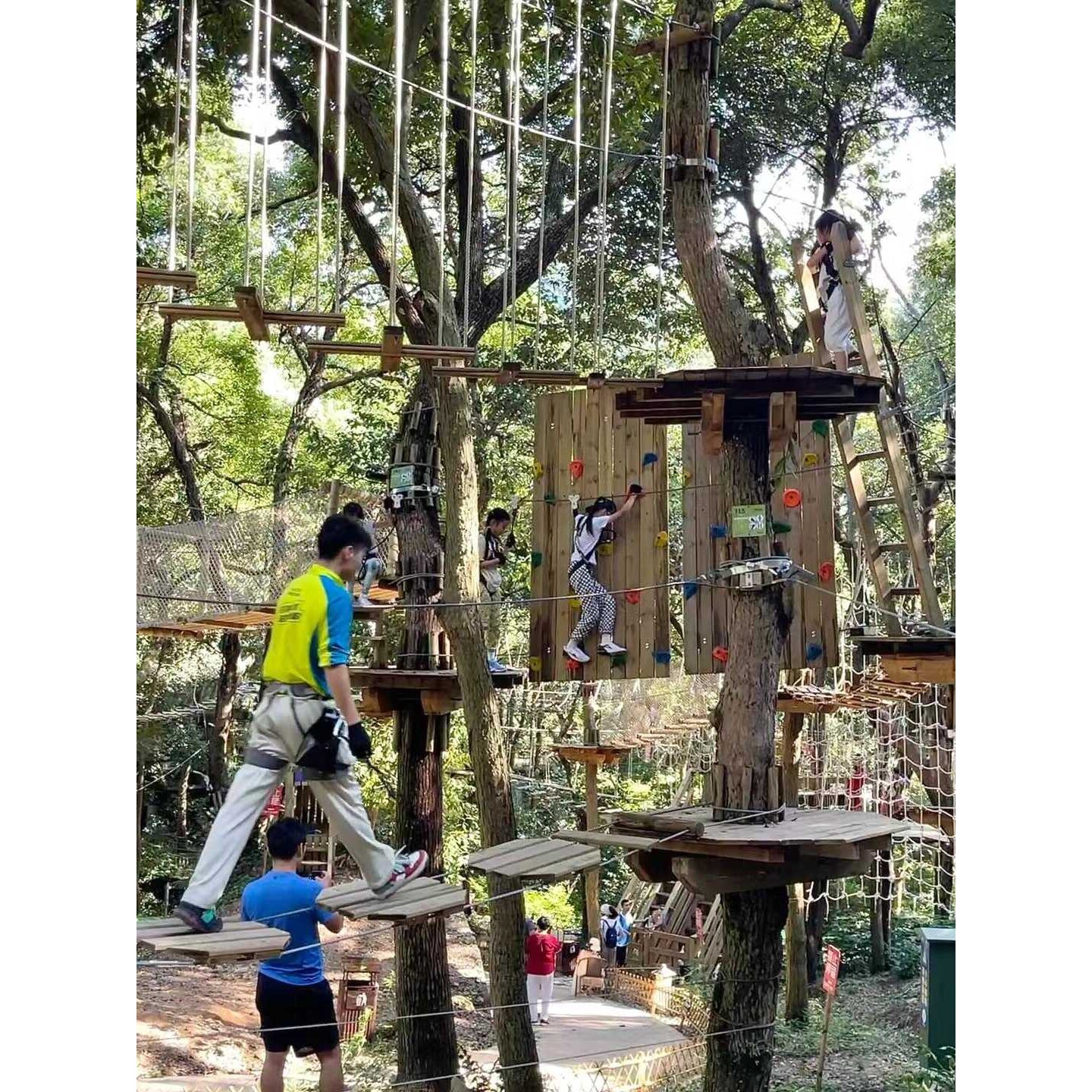 丛林穿越魔网拓展设备景区大型游乐设施户外探险吊桥滑索游乐项目图片