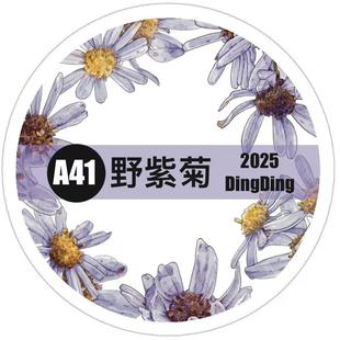 手绘花朵手帐素材胶带 野紫菊 DingDing海马森林文创第七弹 A41