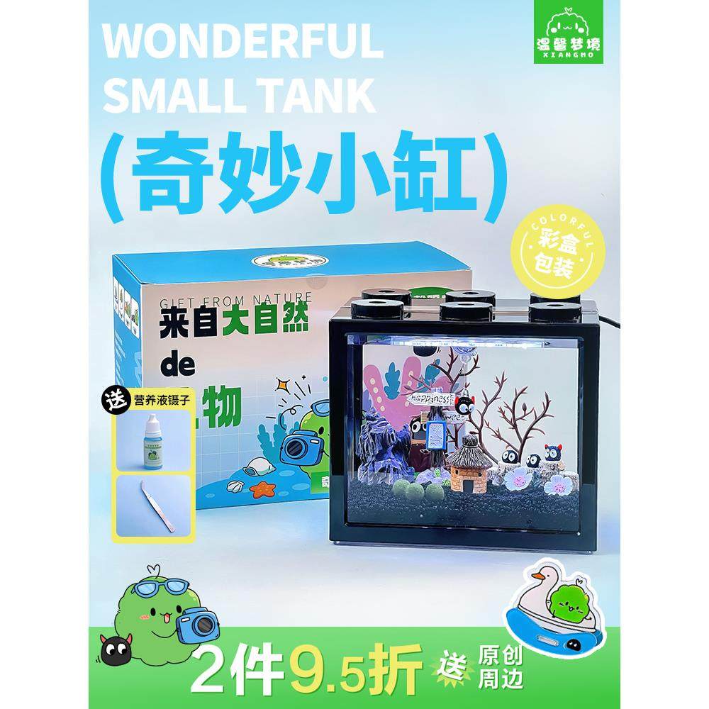 奇妙小屋海藻球微景观生态缸鱼缸桌面迷你水培植物小盆栽创意礼物