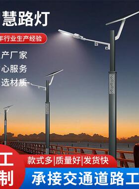 智慧路灯新农村建设标杆路灯60w100w120wled户外太阳能智能路灯
