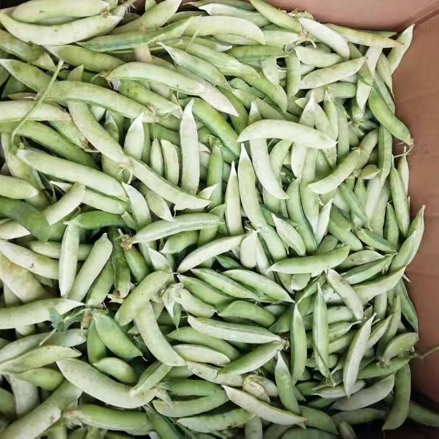 白皮老豌豆河南新鲜带壳豌豆荚饱满山地农家新鲜蔬菜老品种甜豌豆,水产肉类/新鲜蔬果/熟食,新鲜豆类,淘宝优惠券,粉丝福利购,淘宝优惠卷